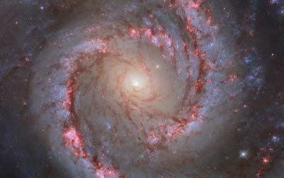 Танцовщица в Золотой Рыбе