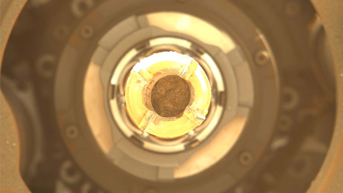 На этом изображении показано ядро породы из Береи внутри сверла марсохода NASA Perseverance