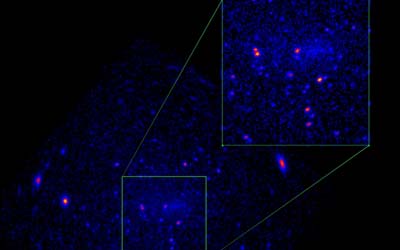 Зонд «Эйнштейн» открывает свой широкий взгляд на рентгеновское небо