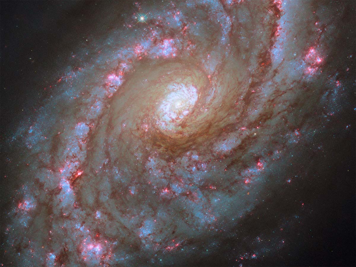 Звездные вспышки огромного масштаба