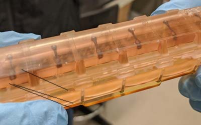 На МКС сердечная ткань бьется в два раза реже, чем на Земле, показало исследование