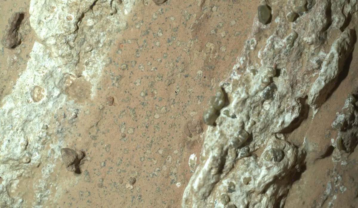 NASA:  Perseverance обнаружил потенциальные биосигнатуры в прошлом году