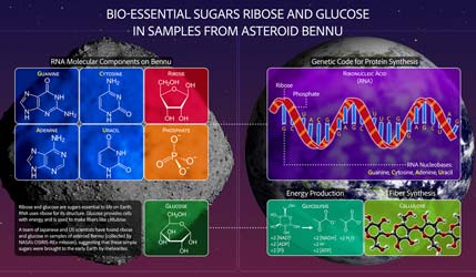 NASA обнаружила сахара, «космическую жвачку» и пыль сверхновых в образцах астероида Бенну