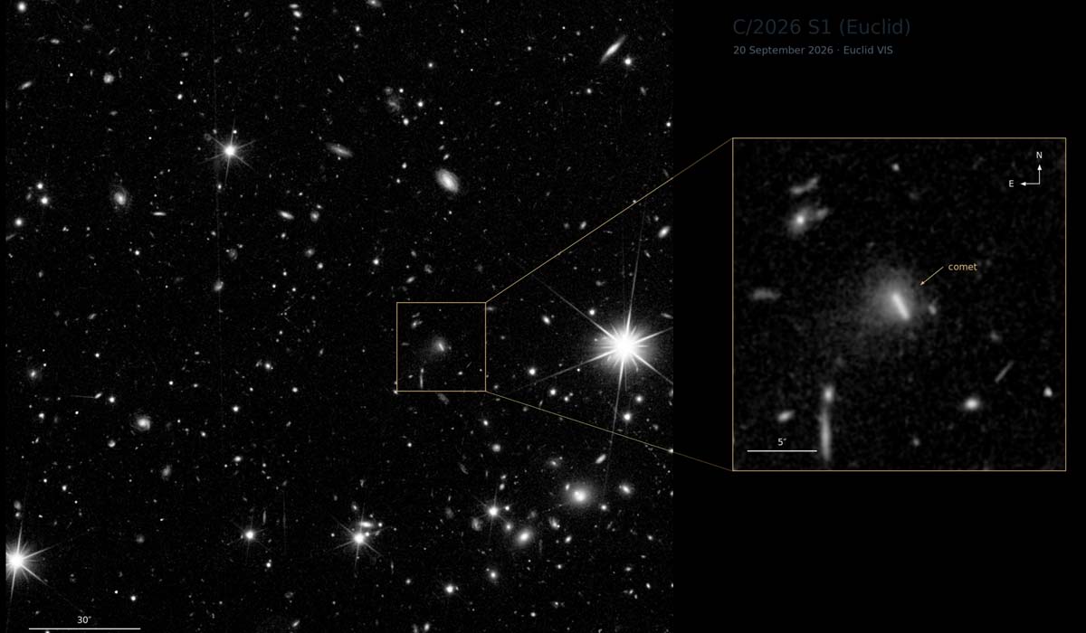 Комета C/2026 S1 (Euclid) на широком снимке VIS
