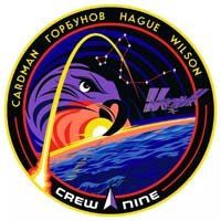 spacex Falcon 9 Crew-9 mission logo