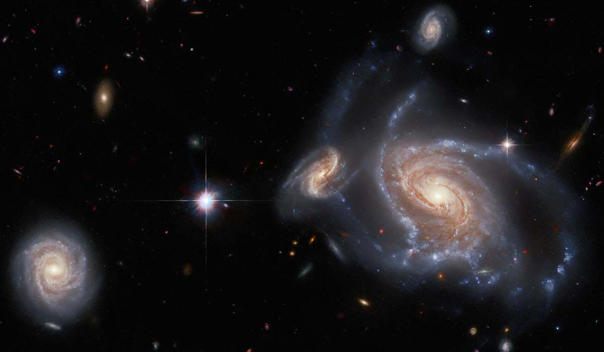 большая, заметная спиральная галактика в правой части изображения — NGC 1356